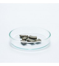 Shrimp Glass Dish Feeder - 50mm