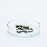 Shrimp Glass Dish Feeder - 50mm