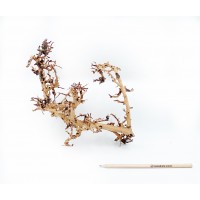 Scaping Twigs M 35-45cm No 1138
