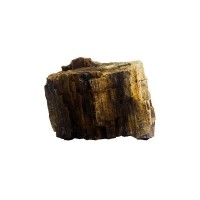 Fossilized Wood Stone