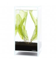 ADA DOOA Neo Glass AIR 20×20×35 cm