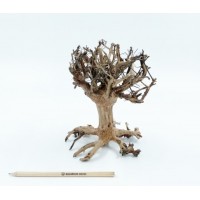 Bonsai Mammoth S από Φυσικό Ξύλο, Χειροποίητο