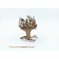 Bonsai Mammoth S από Φυσικό Ξύλο, Χειροποίητο