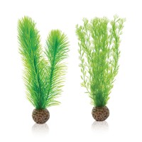 biOrb Feather fern set S green