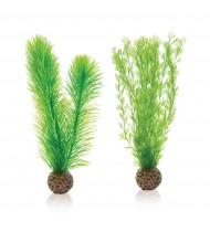 biOrb Feather fern set S green
